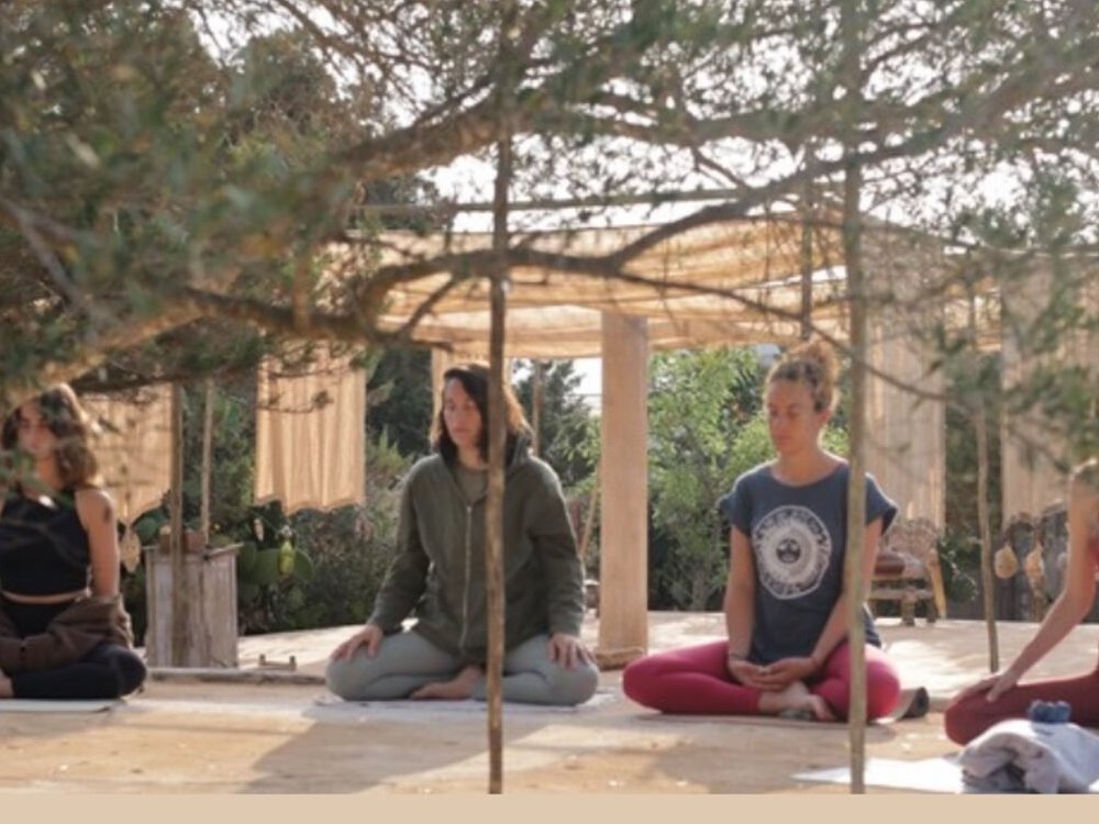 Practice under the pine and olive trees