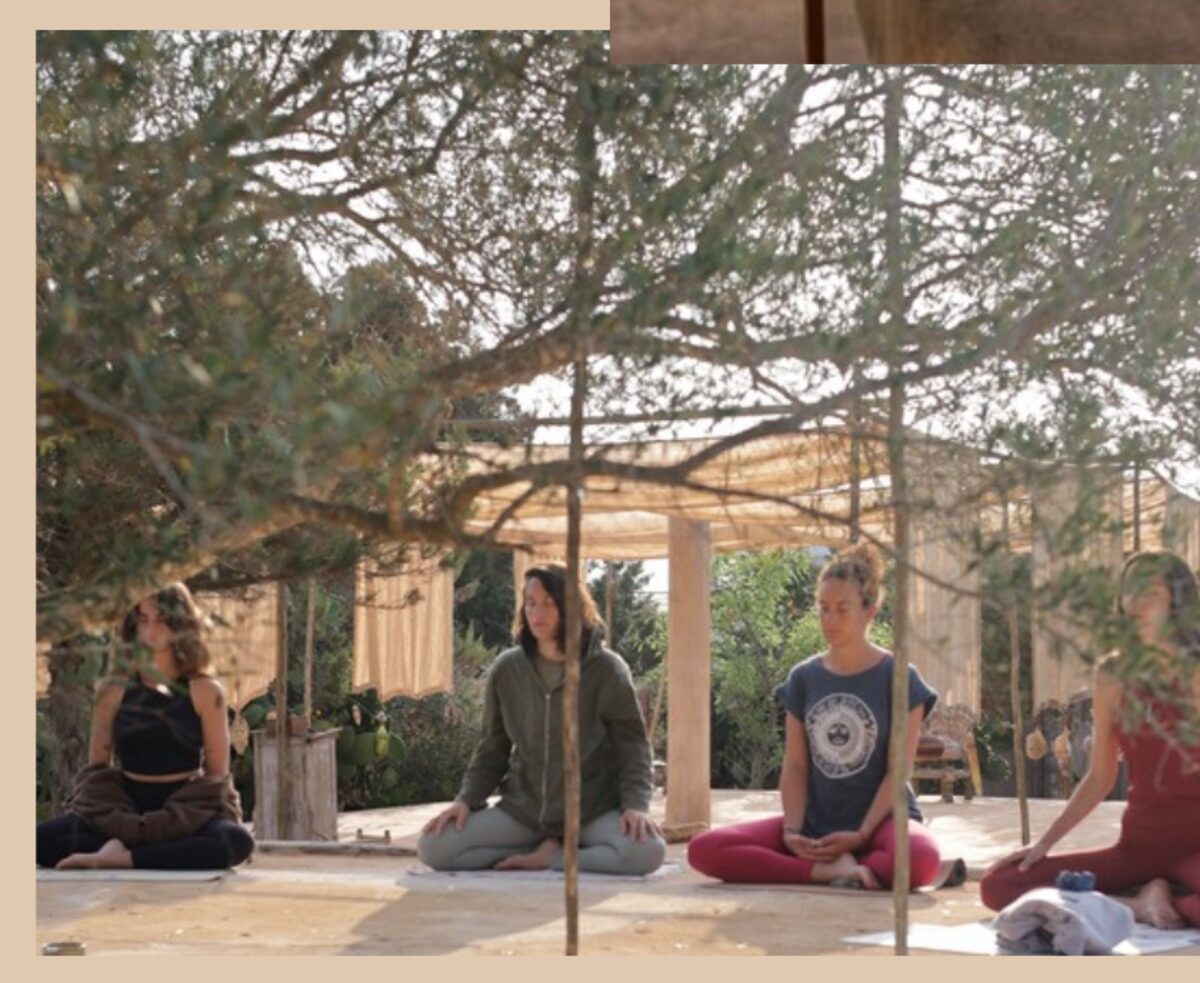 Practice under the pine and olive trees